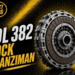 DL-382 (0CK) ŞANZIMAN NEDİR görseli