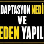 Adaptasyon nedir ve neden yapılır? görseli