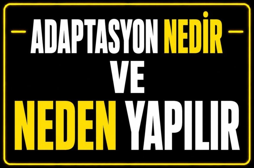 Adaptasyon nedir ve neden yapılır? görseli