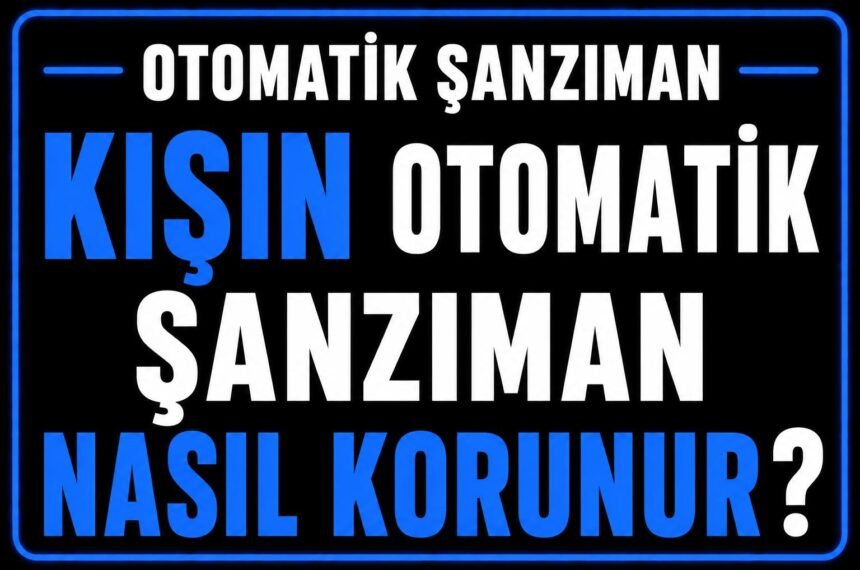 Kışın otomatik şanzıman nasıl korunur? görseli