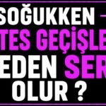 Soğukken Vites Geçişleri Neden Sert Olur? görseli