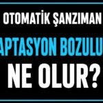 Adaptasyon bozulursa ne olur? görseli