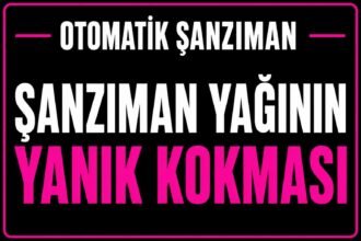 Şanzıman Yağının Yanık Kokması görseli