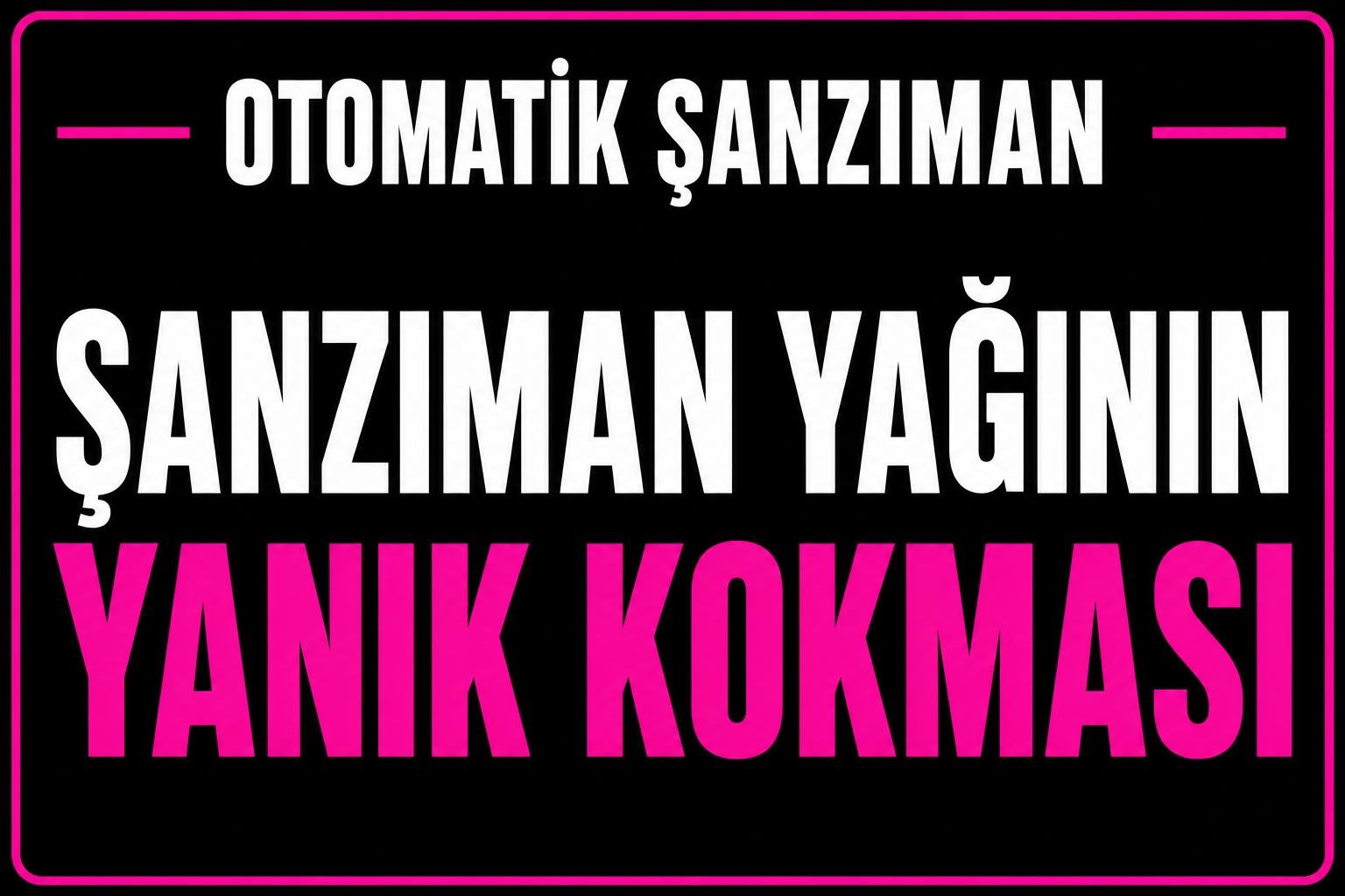 Şanzıman Yağının Yanık Kokması görseli