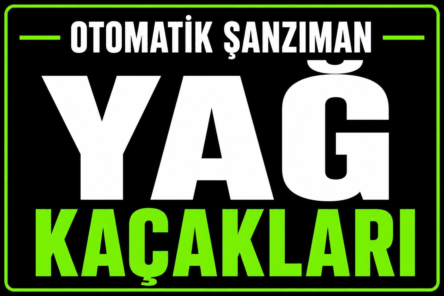 Şanzıman Yağ Kaçakları görseli
