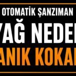 Şanzıman yağı neden yanık kokar? görseli