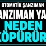 Şanzıman yağı neden köpürür? görseli