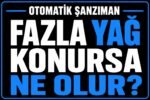 🛢 Fazla Şanzıman Yağı Konursa Ne Olur? görseli
